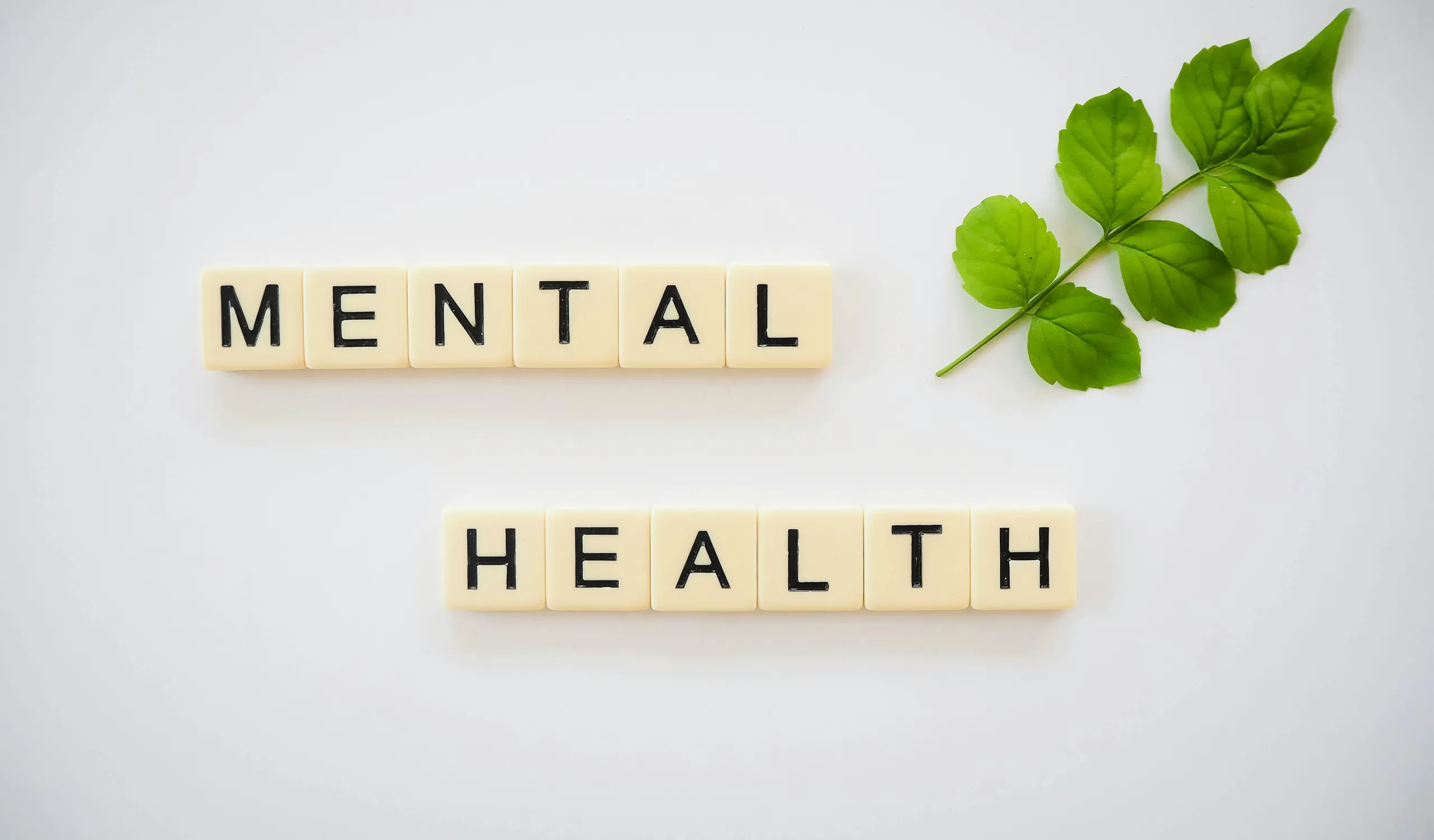 How To Improve Mental Health 5 Tips for Business Owners